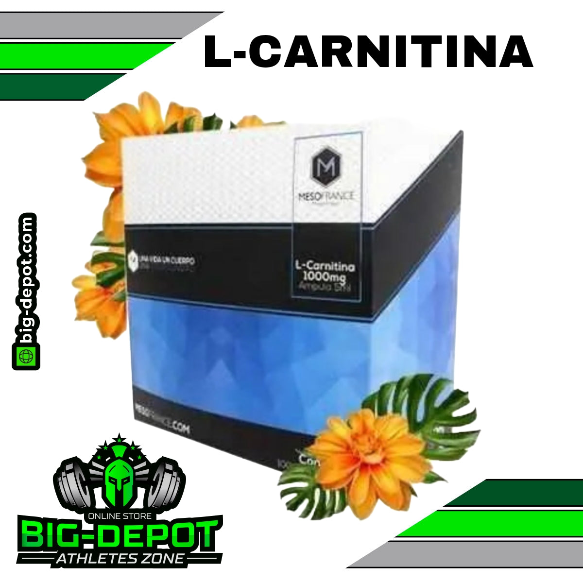 L-Carnitina - Ampulas de 5ml  - MESOTERAPIA Mesofrance