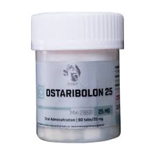 STRENOBOLIC - STENABOLIC 10 (SR 9009) | 10 mg  / 80 Tabletas